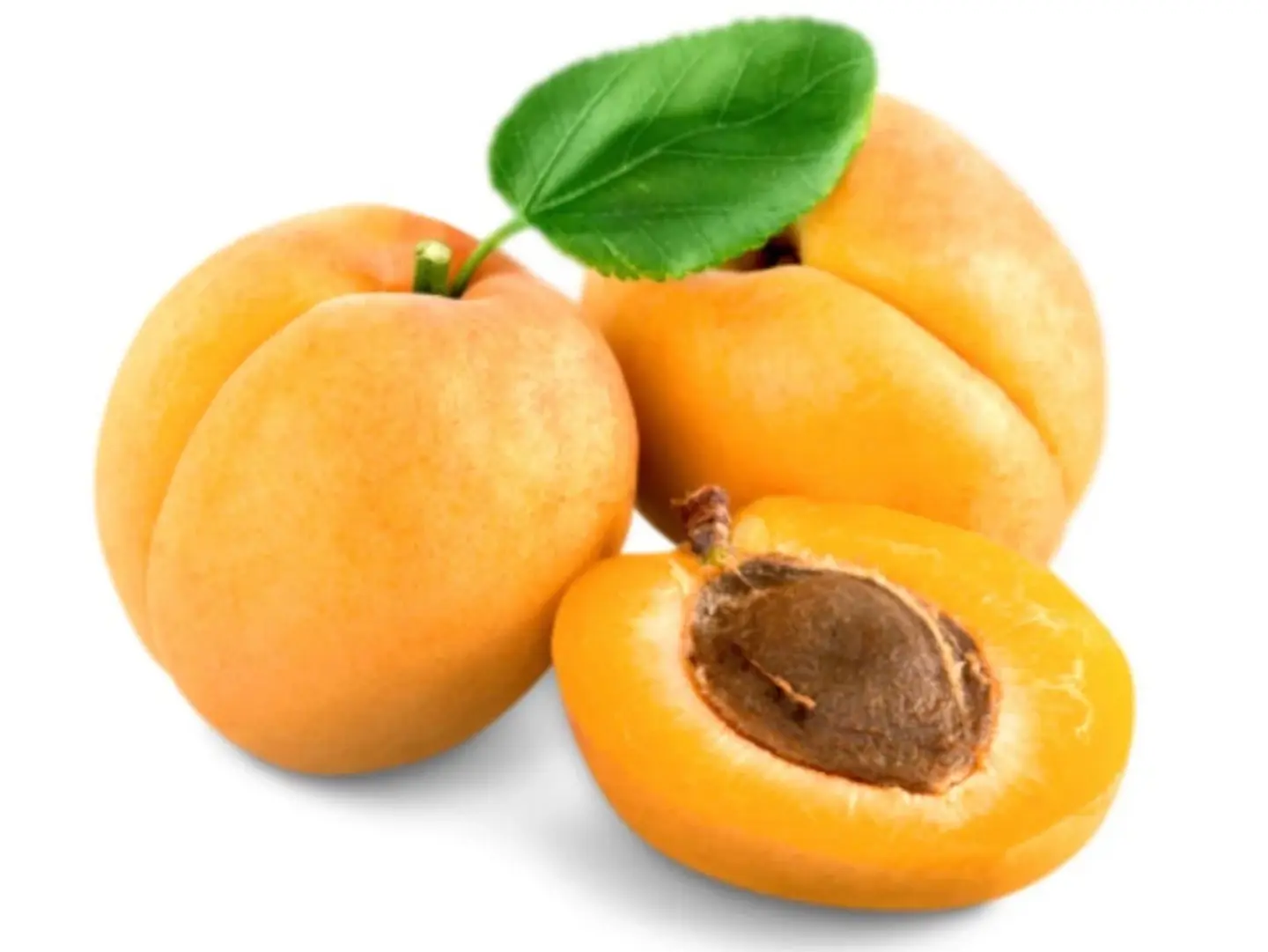 Fresh Apricots