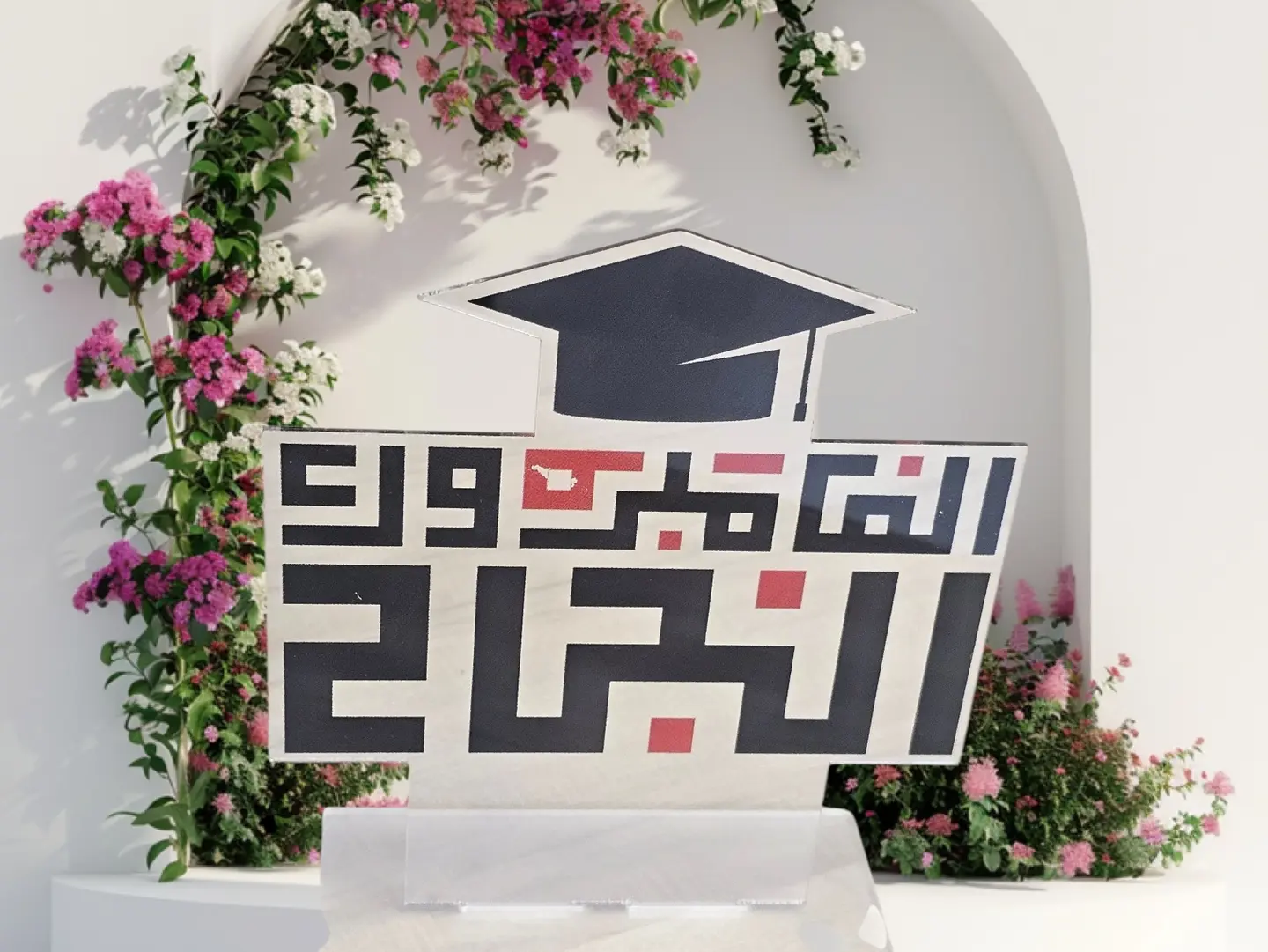 Insultra Of Success 2