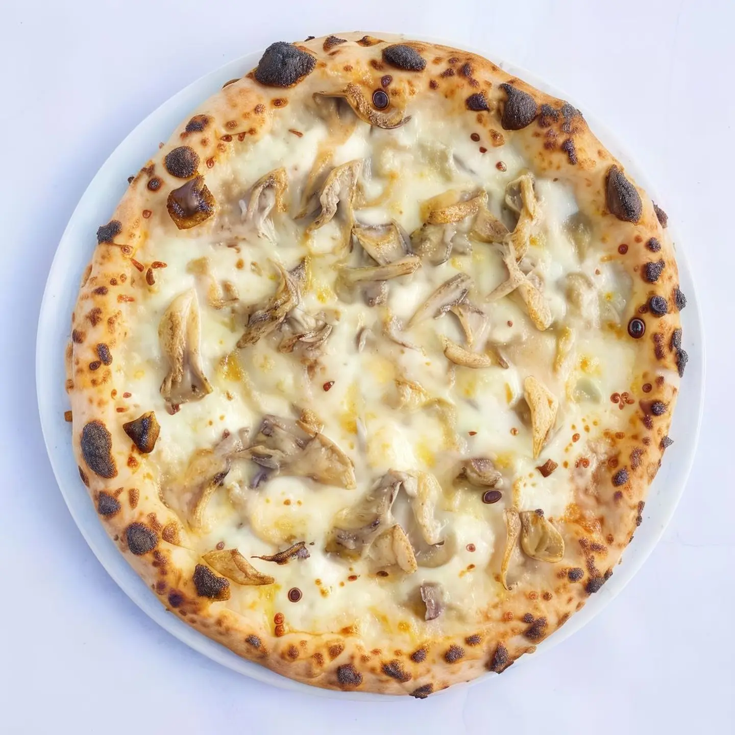 بيتزا الترافيل