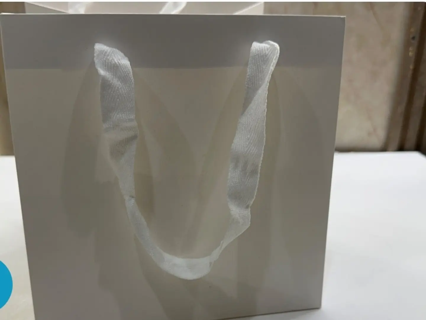 Large White Gift Bag