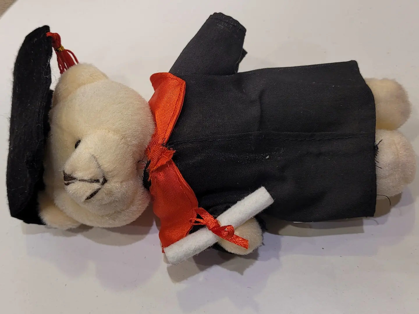 Small White Graduation Teddy Bear