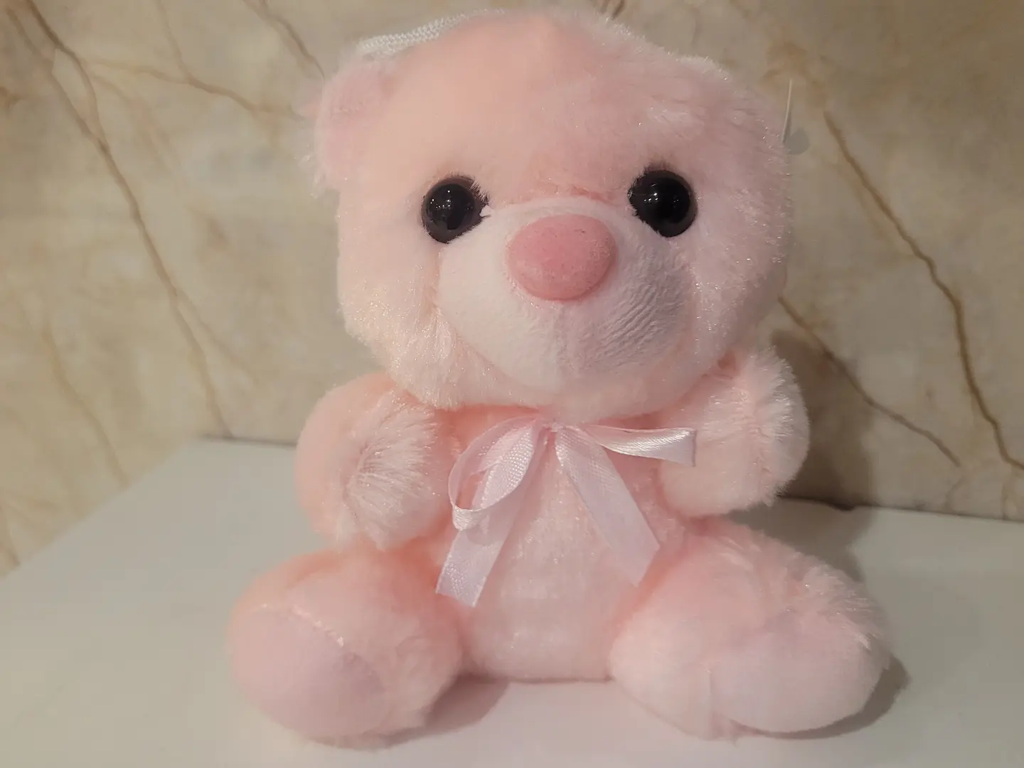 Small Pink Teddy Bear