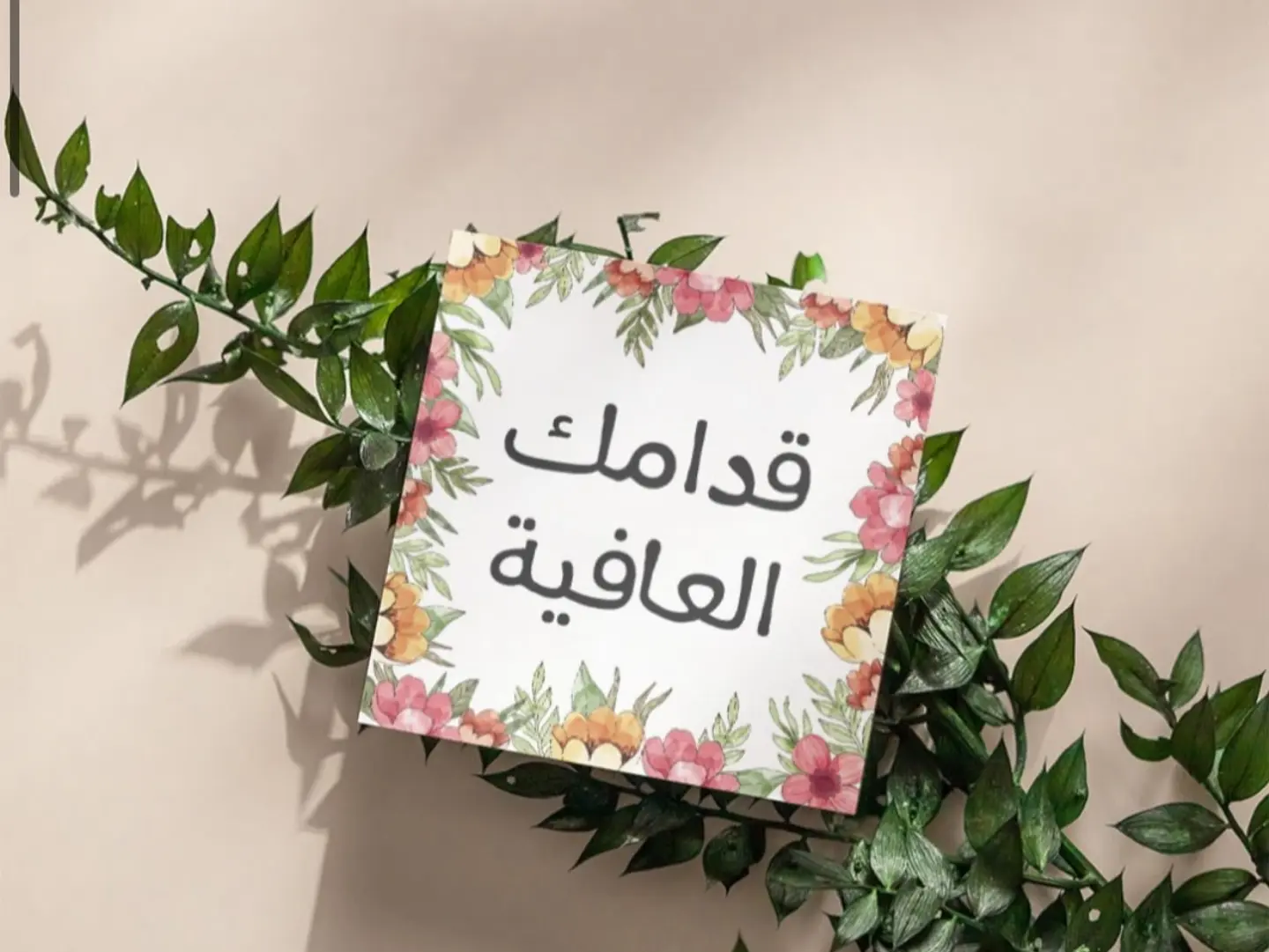 May You Have Good Health, Mashjar