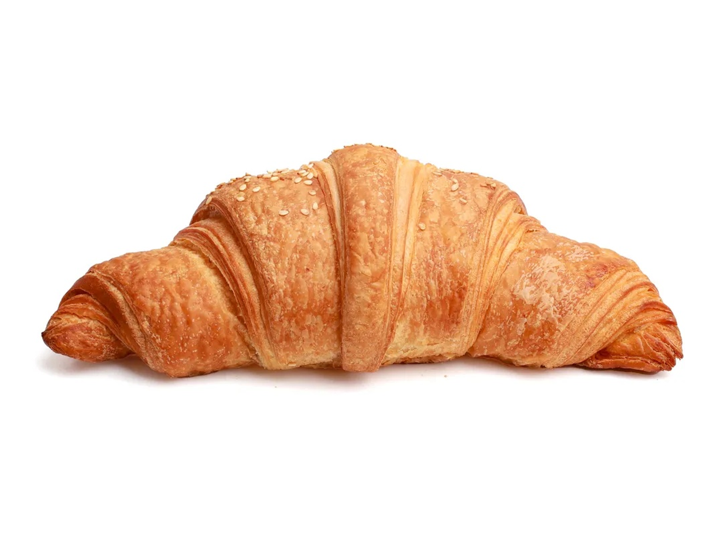 White Cheese Croissant
