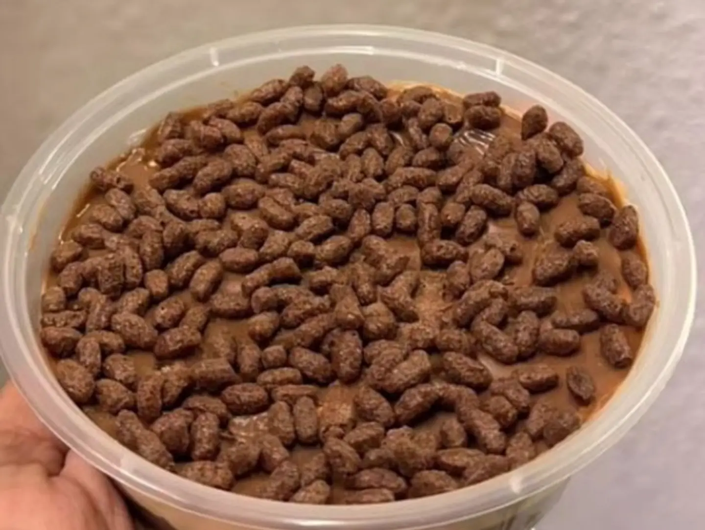 Crunchy Choco