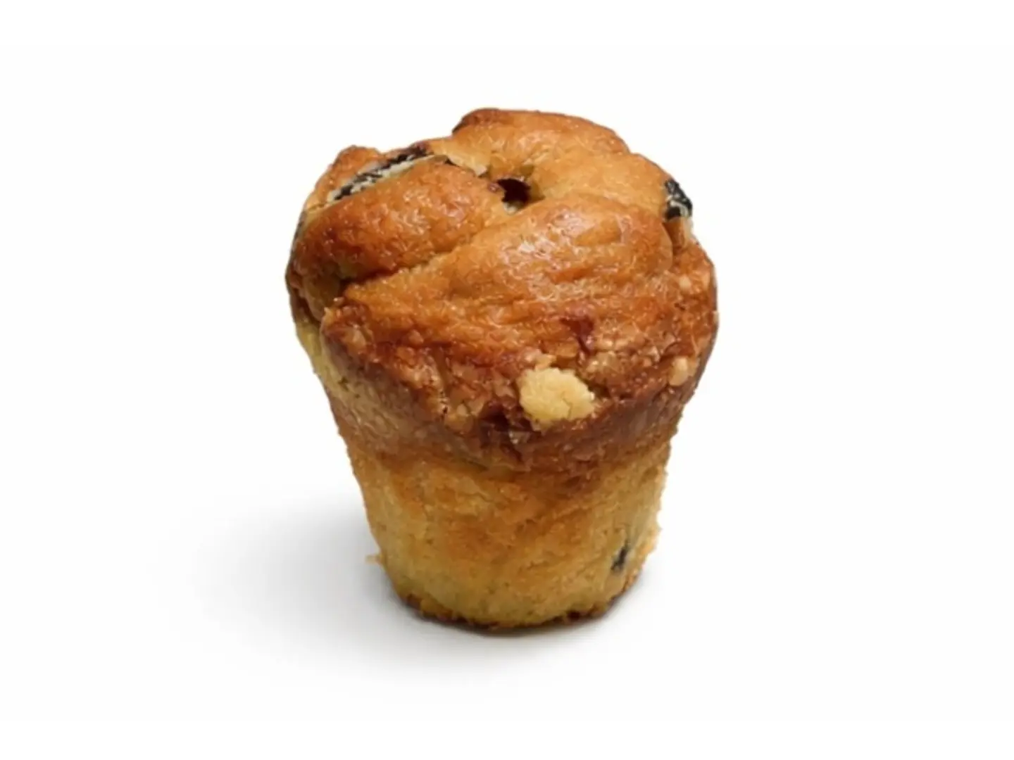 Blueberry Muffin