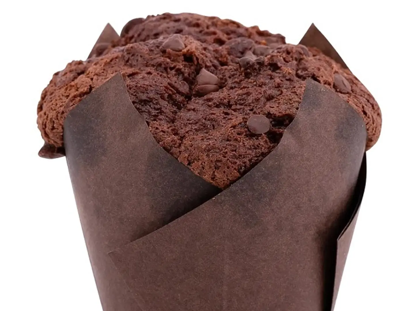 Chocolate Muffin
