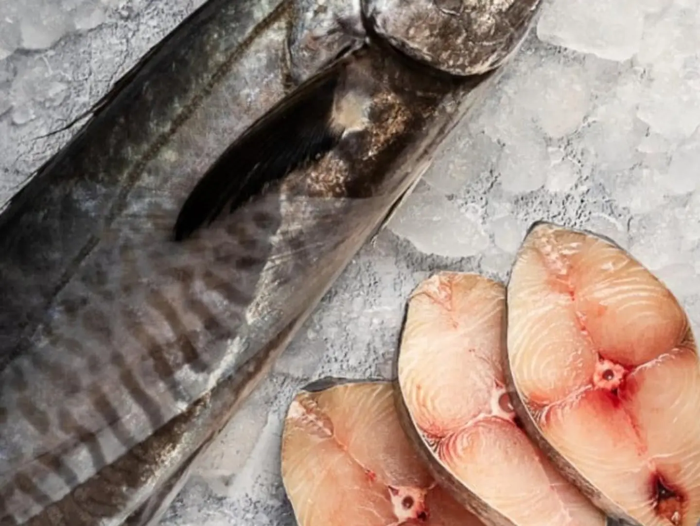 Kingfish
