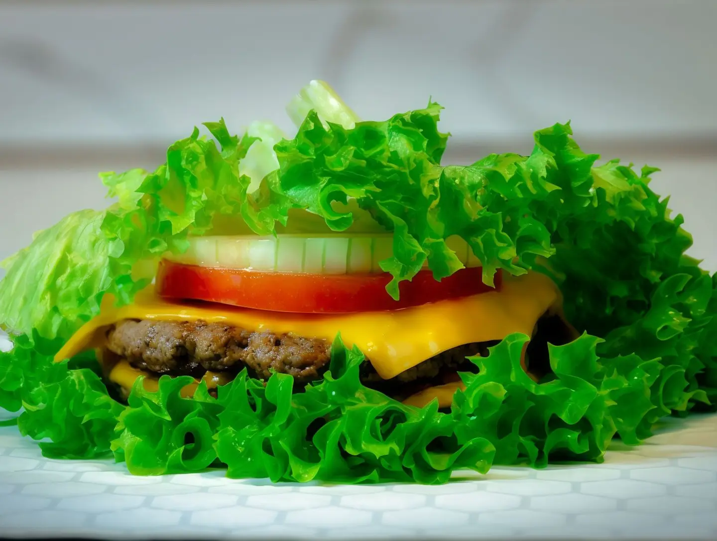 Protein Burger