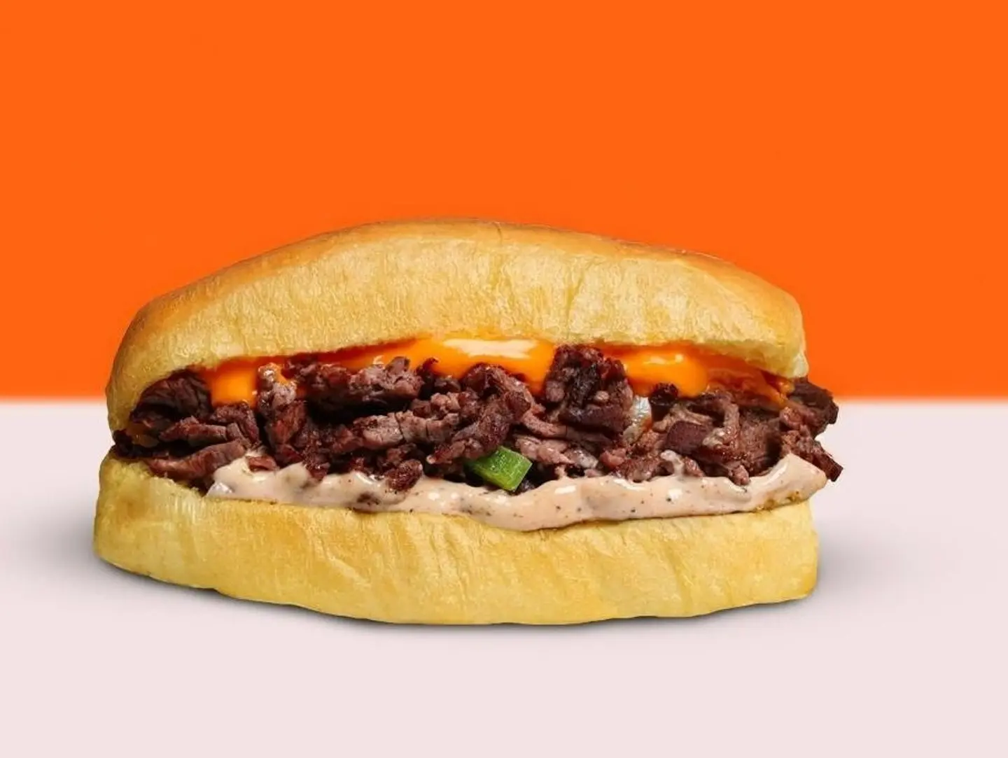 ساندوتش فلي ستيك