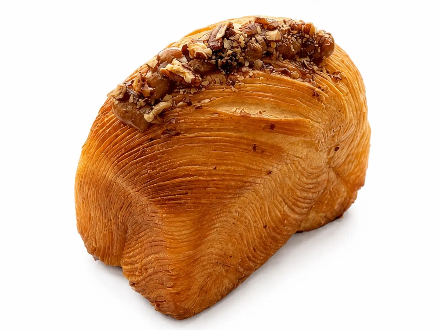 دانش كرمل