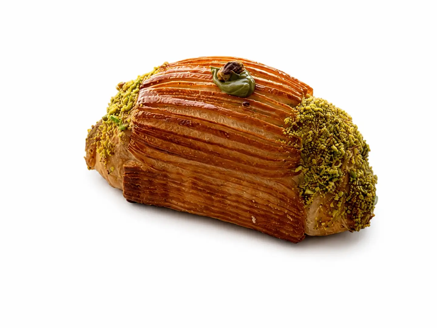 دانش بستاشيو