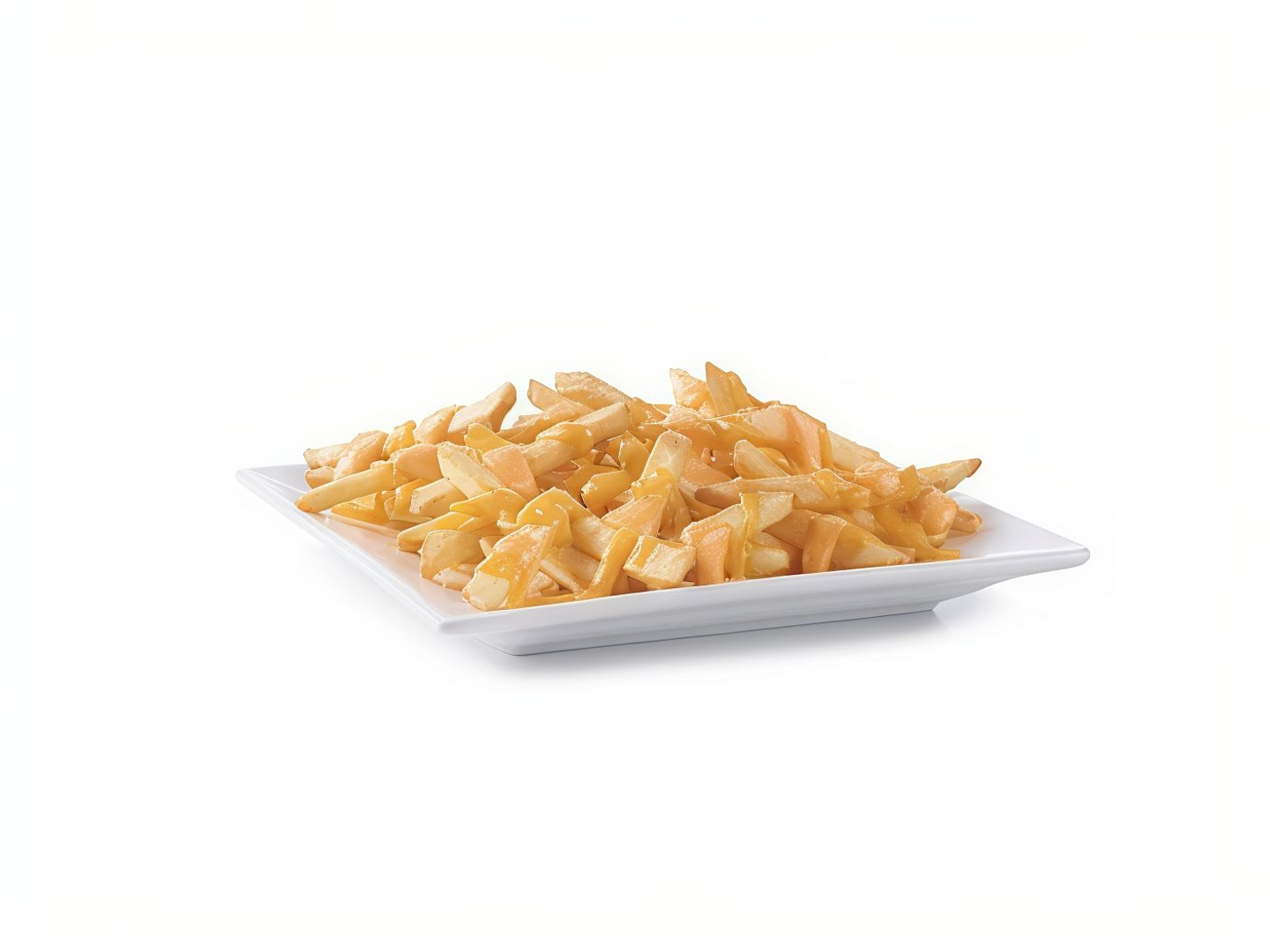 Cheese Fries Plate