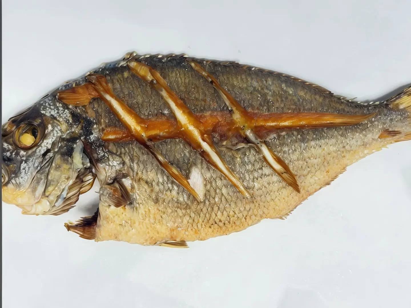 دنيس وسط (مقلي)