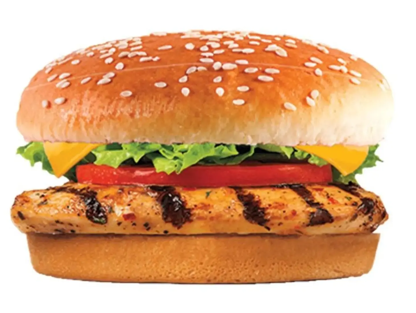 Chicken Grill Burger