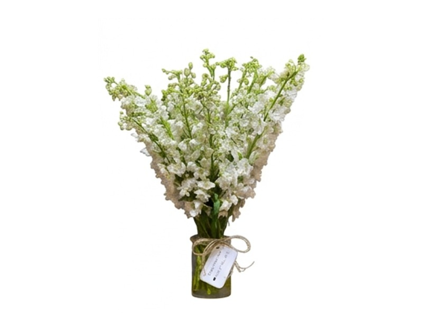 Delphinium Vase