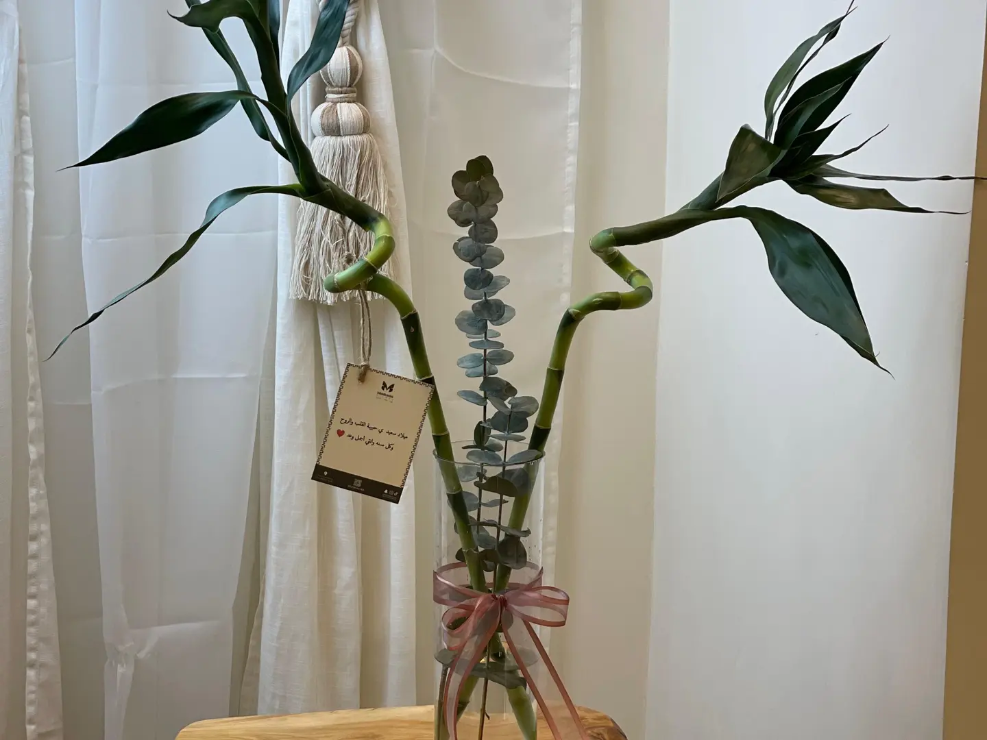 Bamboo Shoots