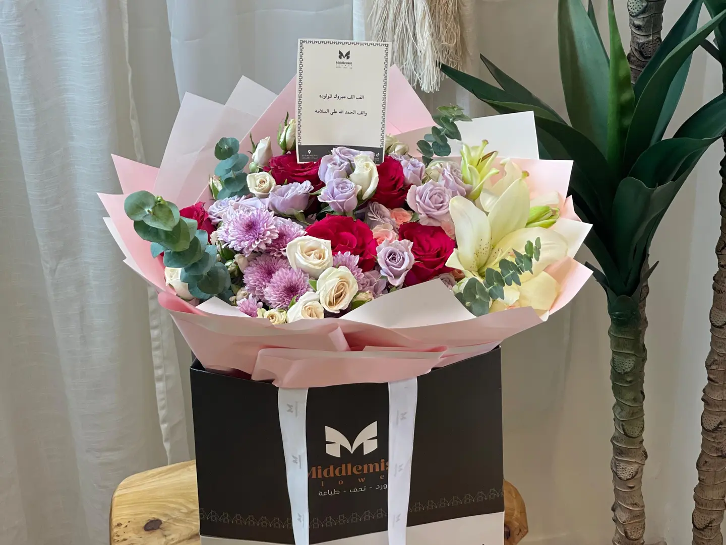 Middle Mist Newborn Box 2