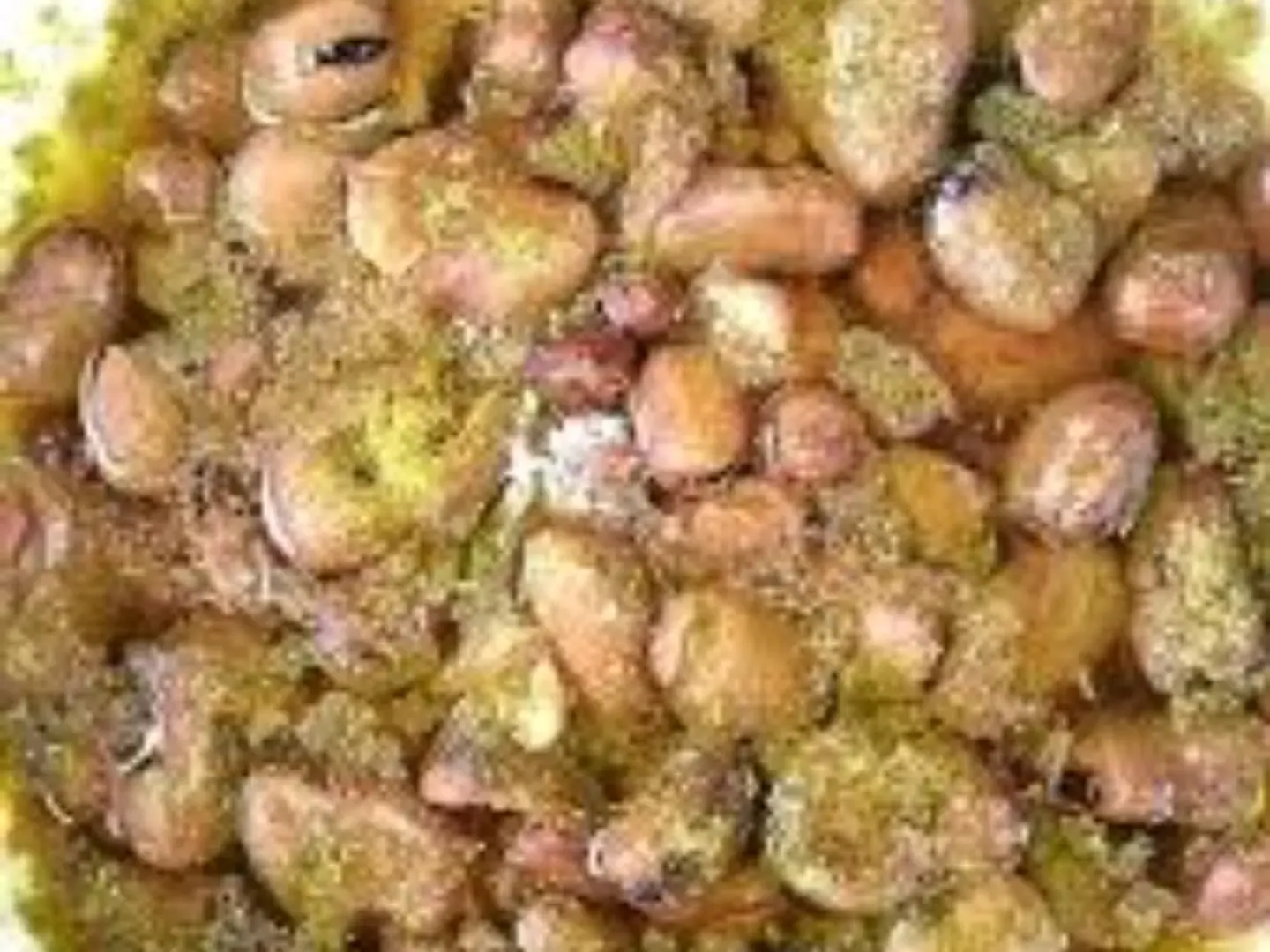 فول مصلح