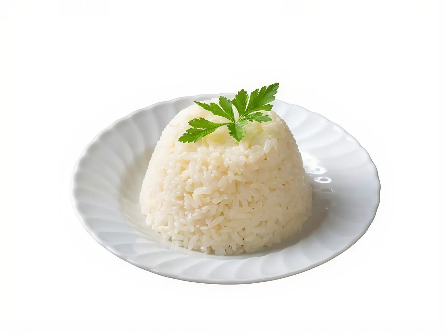 رز ابيض - صغير