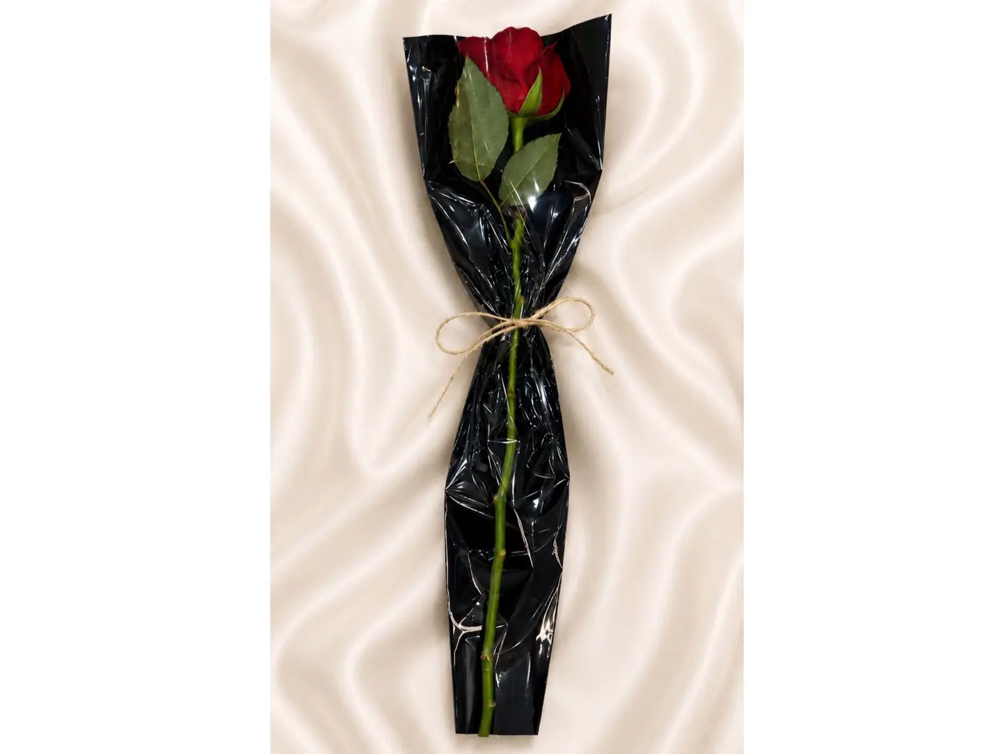 Roses Of Love