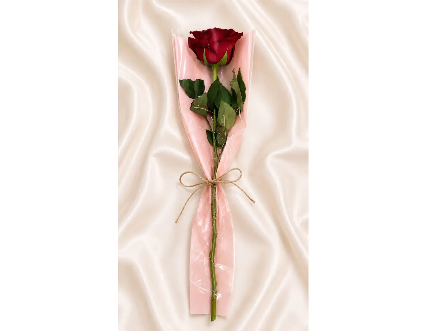 Roses Of Love1
