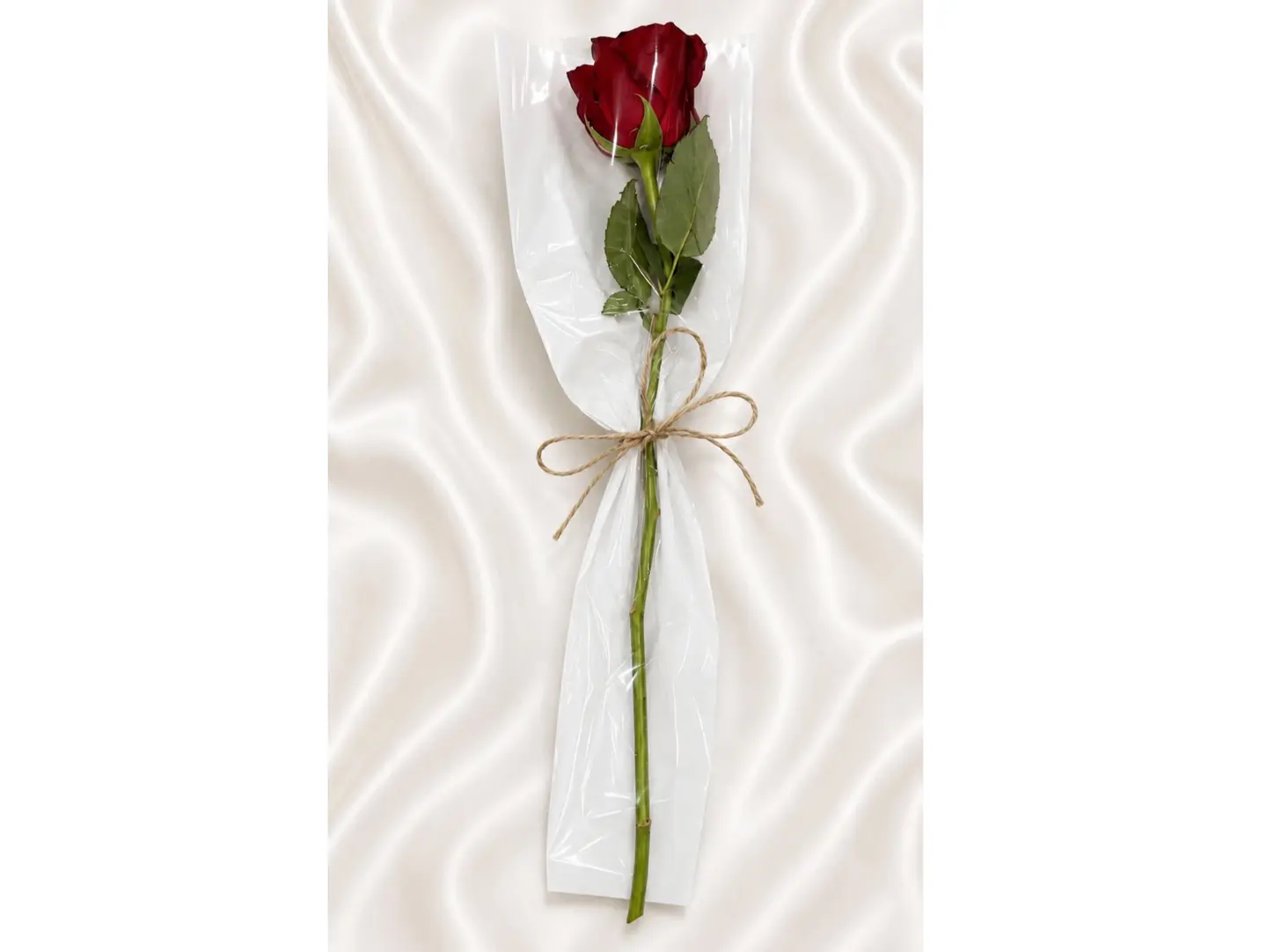 Roses Of Love 2
