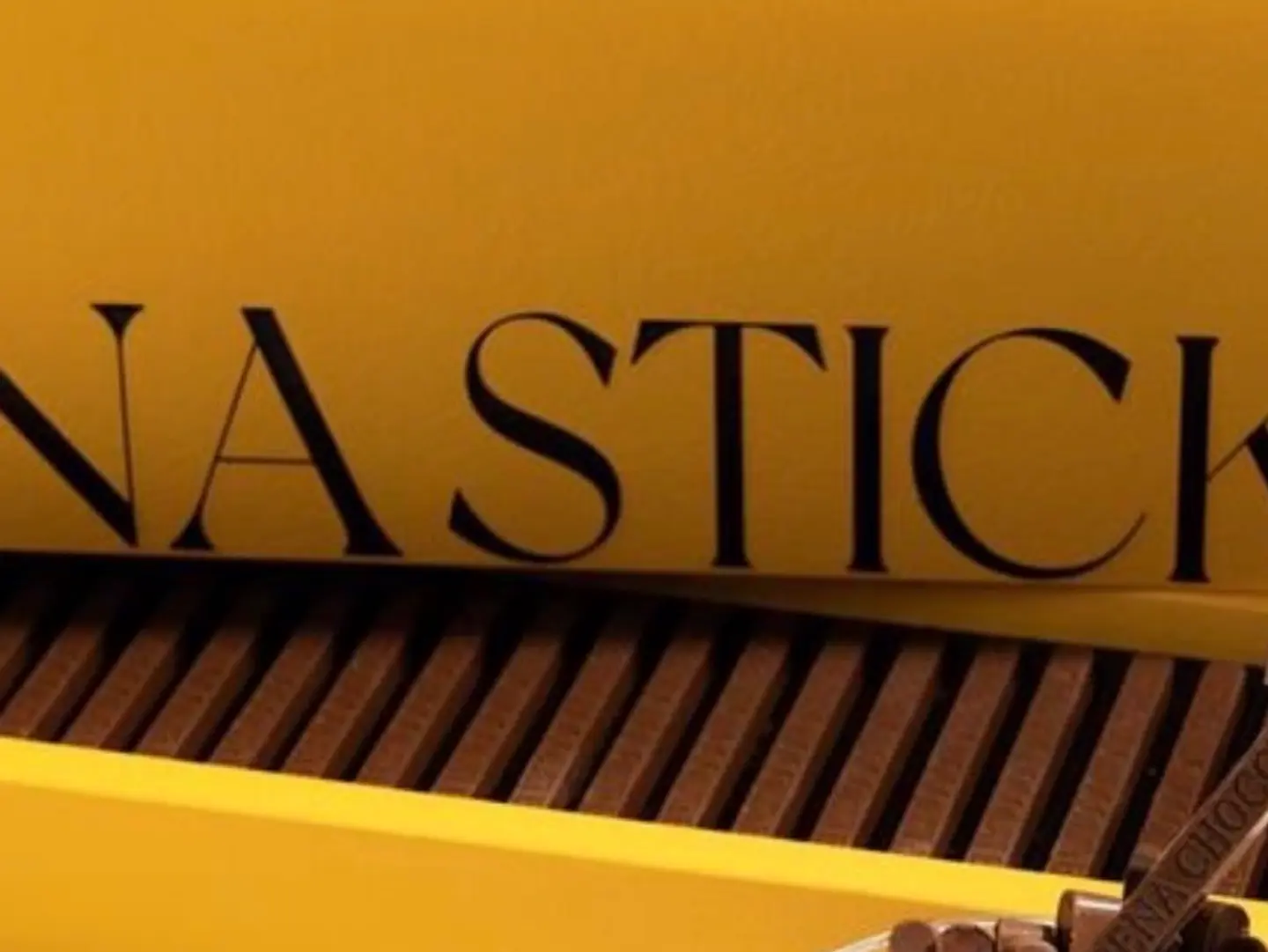 ارينا ستيكس