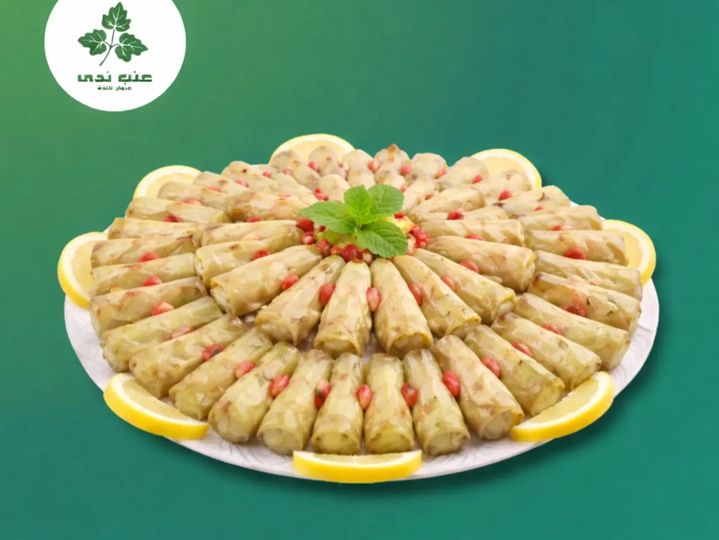 Cabbage   50 Pieces