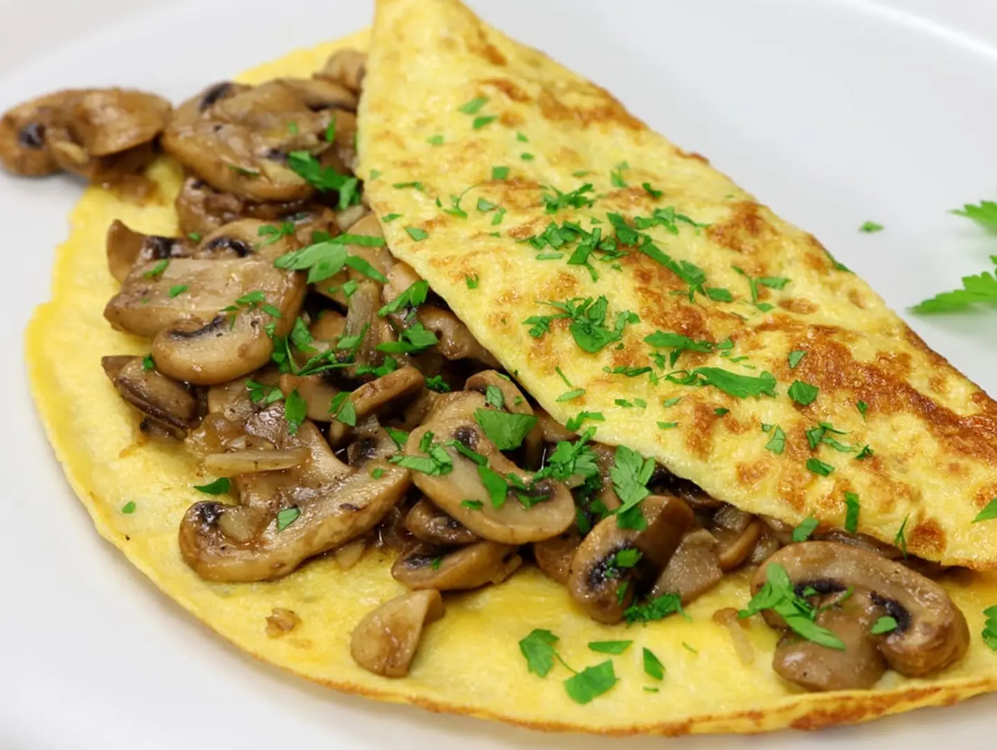 Mushroom Cheese Omelette