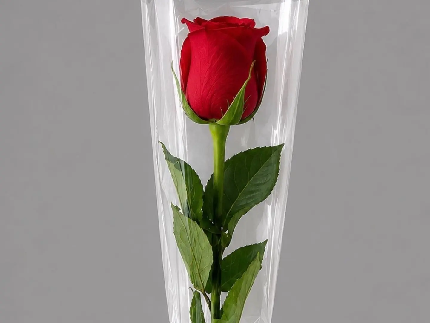 Eid Roses