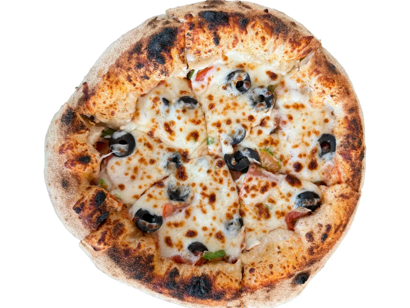 Vegetable Pizza