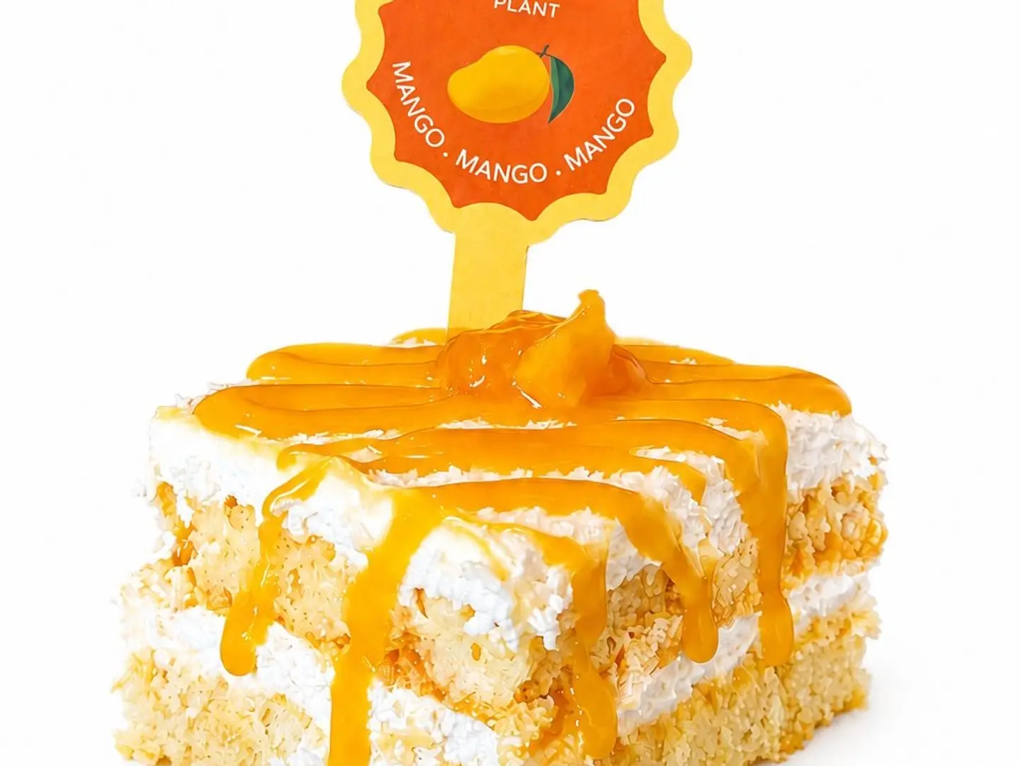 Coco Mango