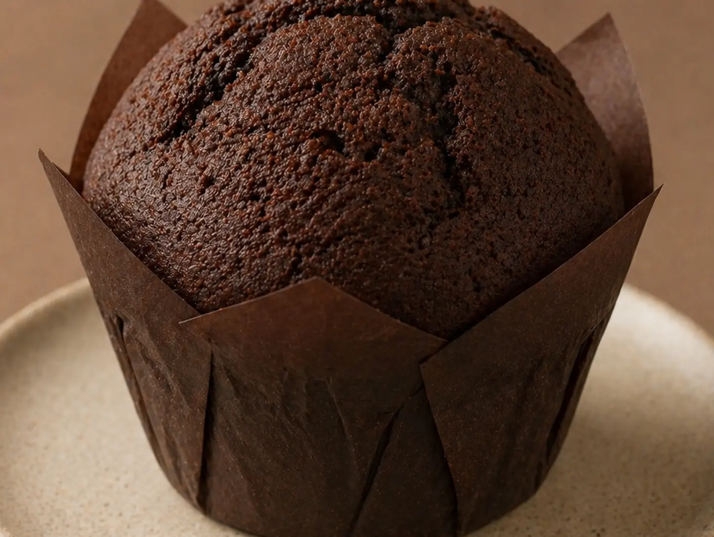 Chocolate Muffin