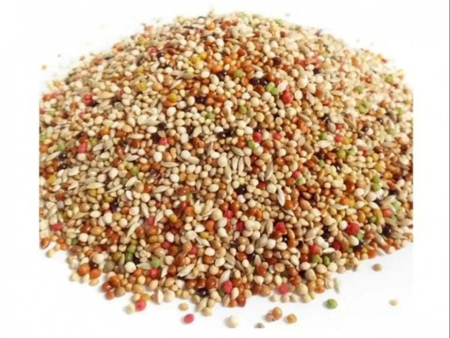 Bird Seed 5 Kg