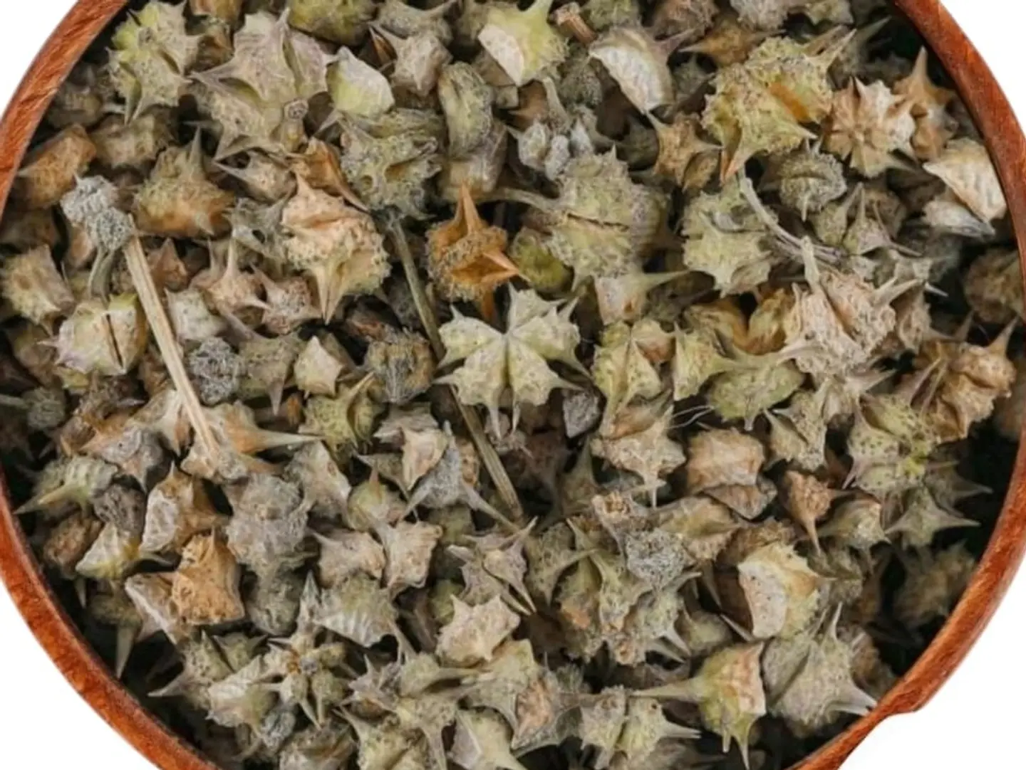 Camel Thorn Herb 1 Kg