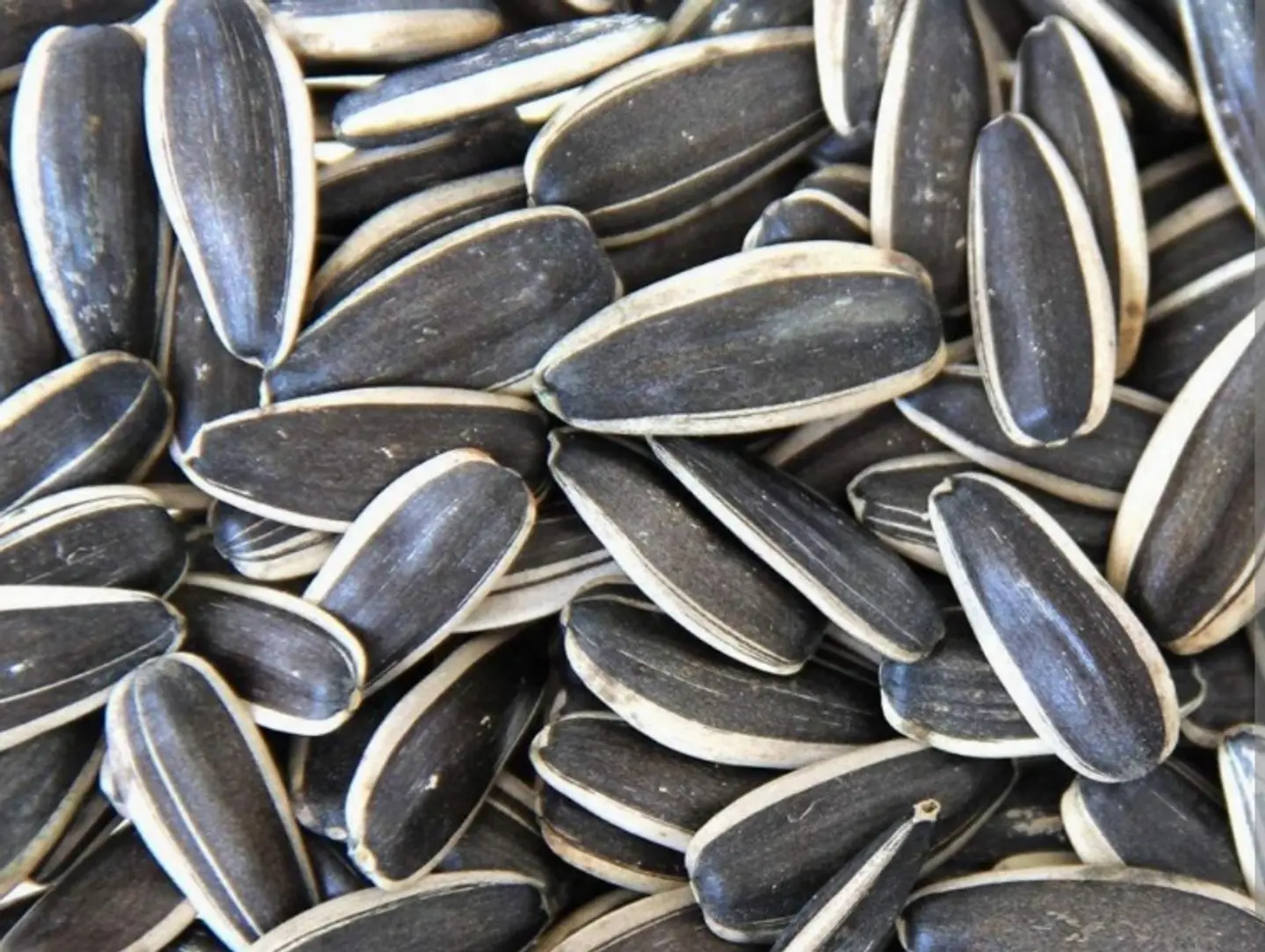 Plain Sunflower Seeds 1kg