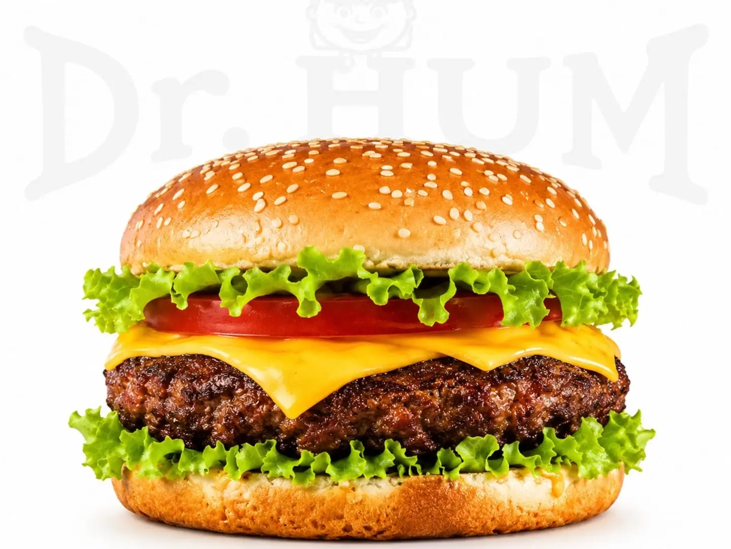 Dr. Hum Beef Burger - Single