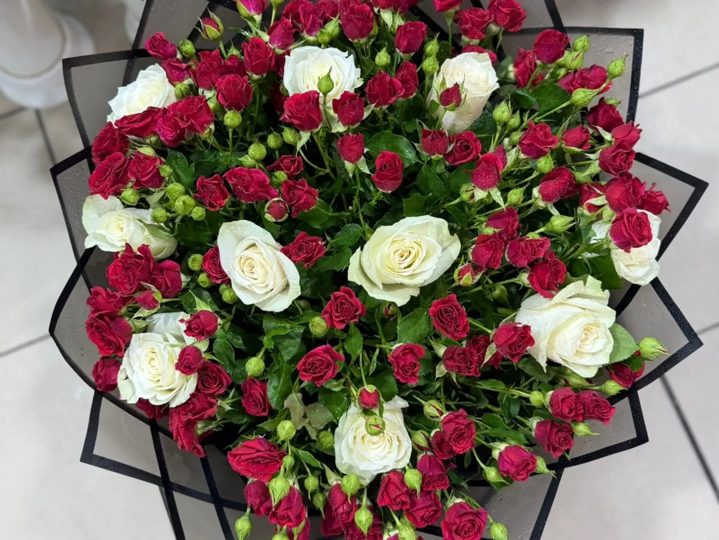 باقة بلوم