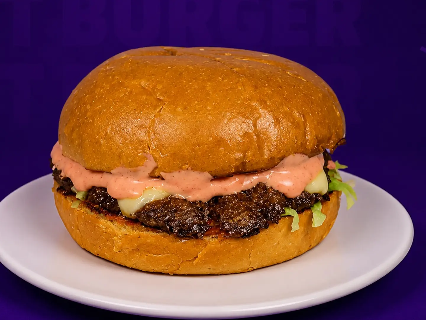 Delicious Single Burger - Sandwich