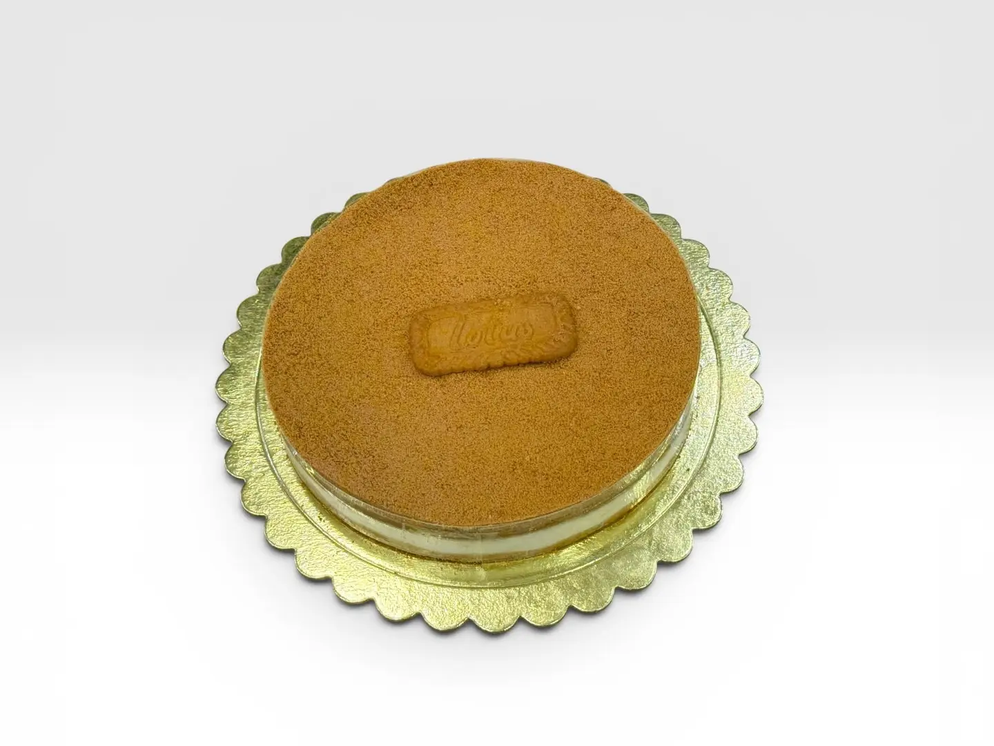 Cheese Cake Lotus - Medium