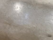شيش طاووق باللبنة