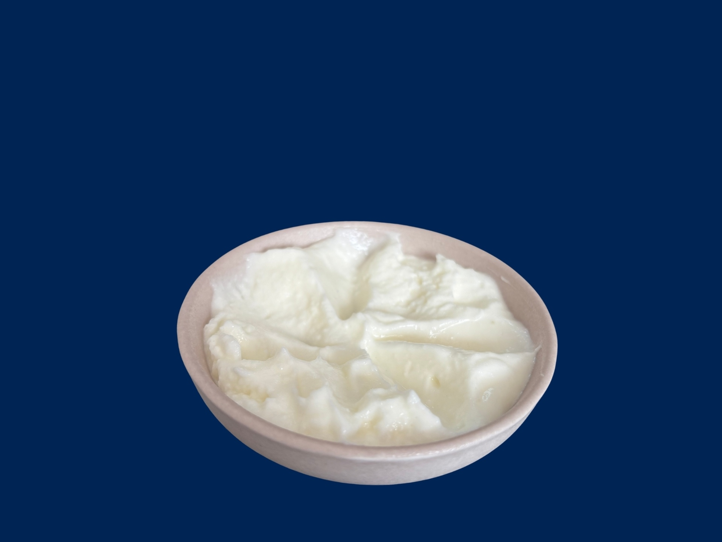 Garlic Sauce