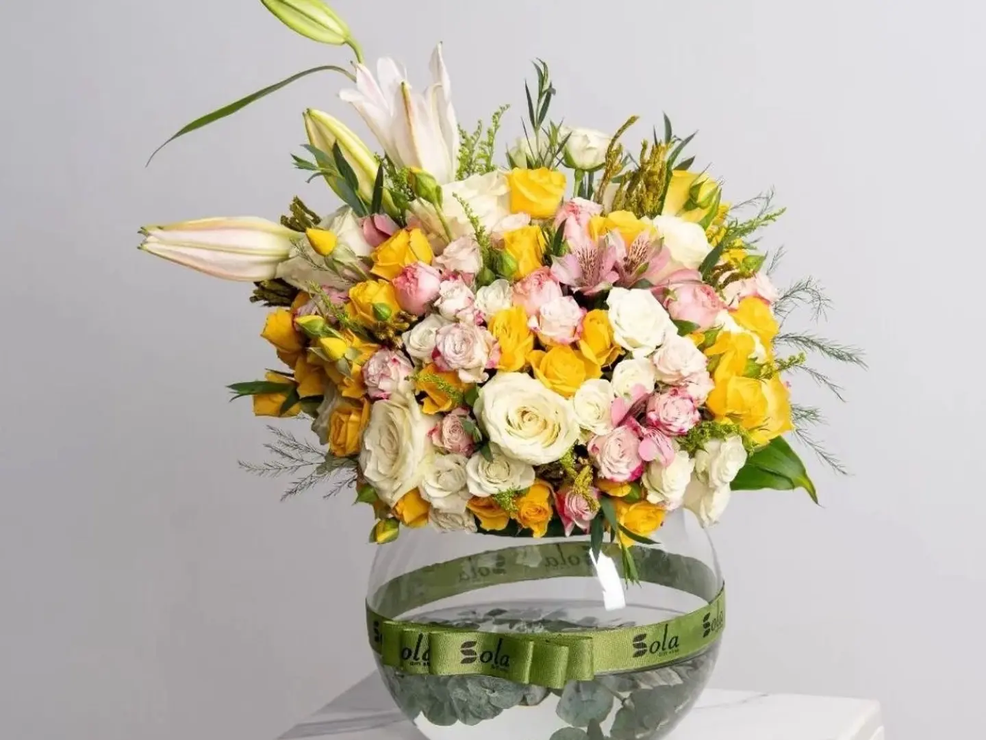 فازه دائري 12