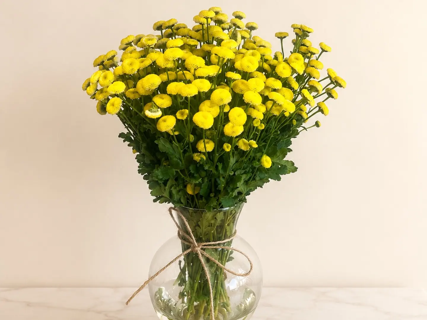 Daisy Vase24