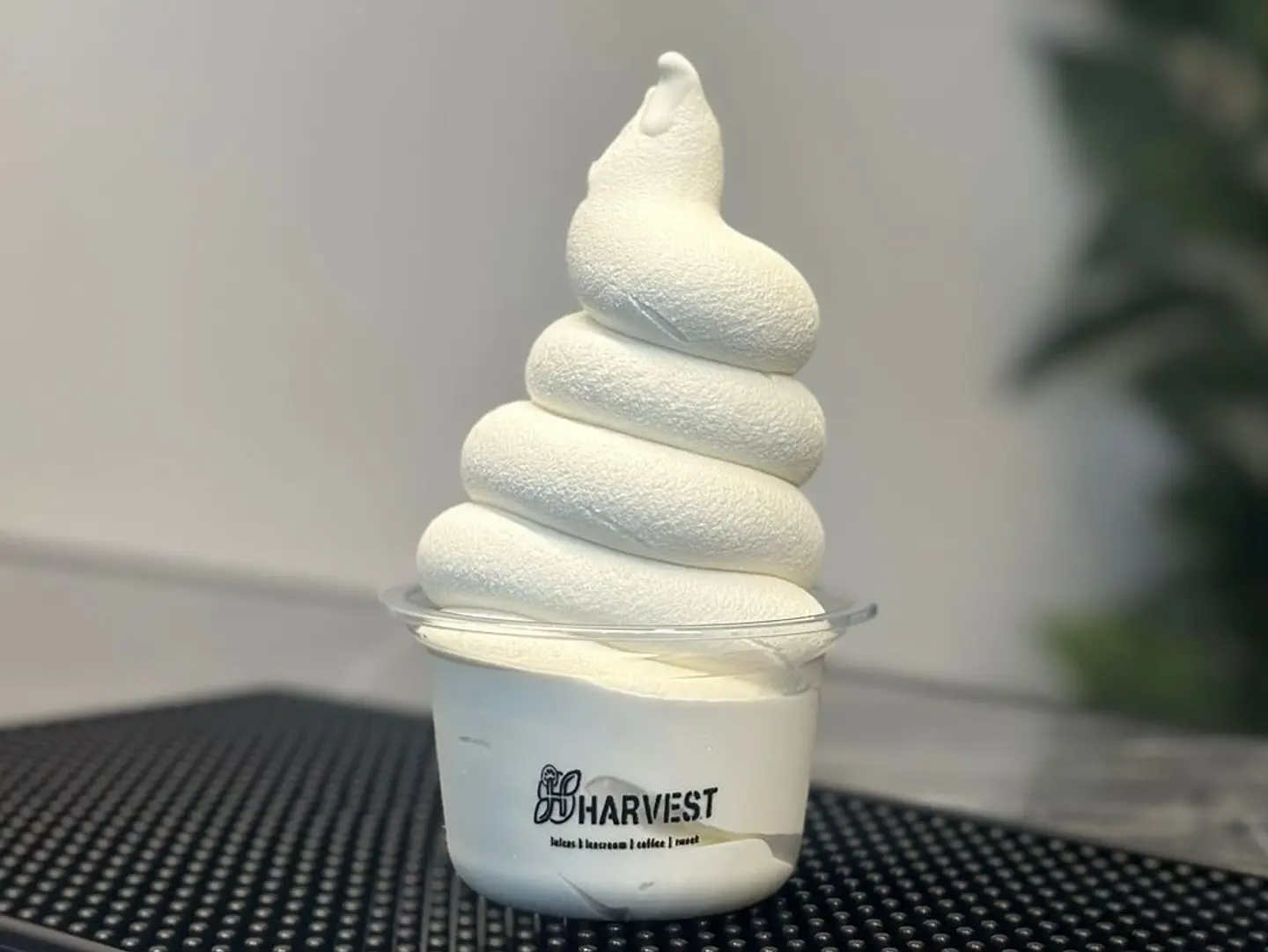 Classic Vanilla Ice Cream - Regular Size