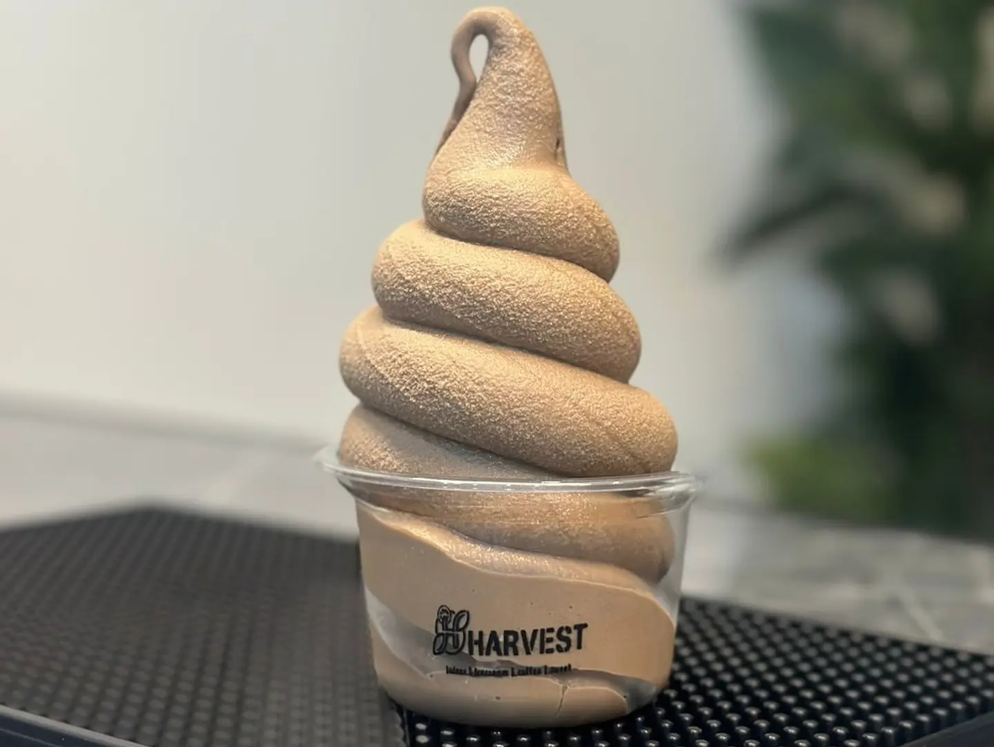 Chocolate Ice Cream - Regular Size