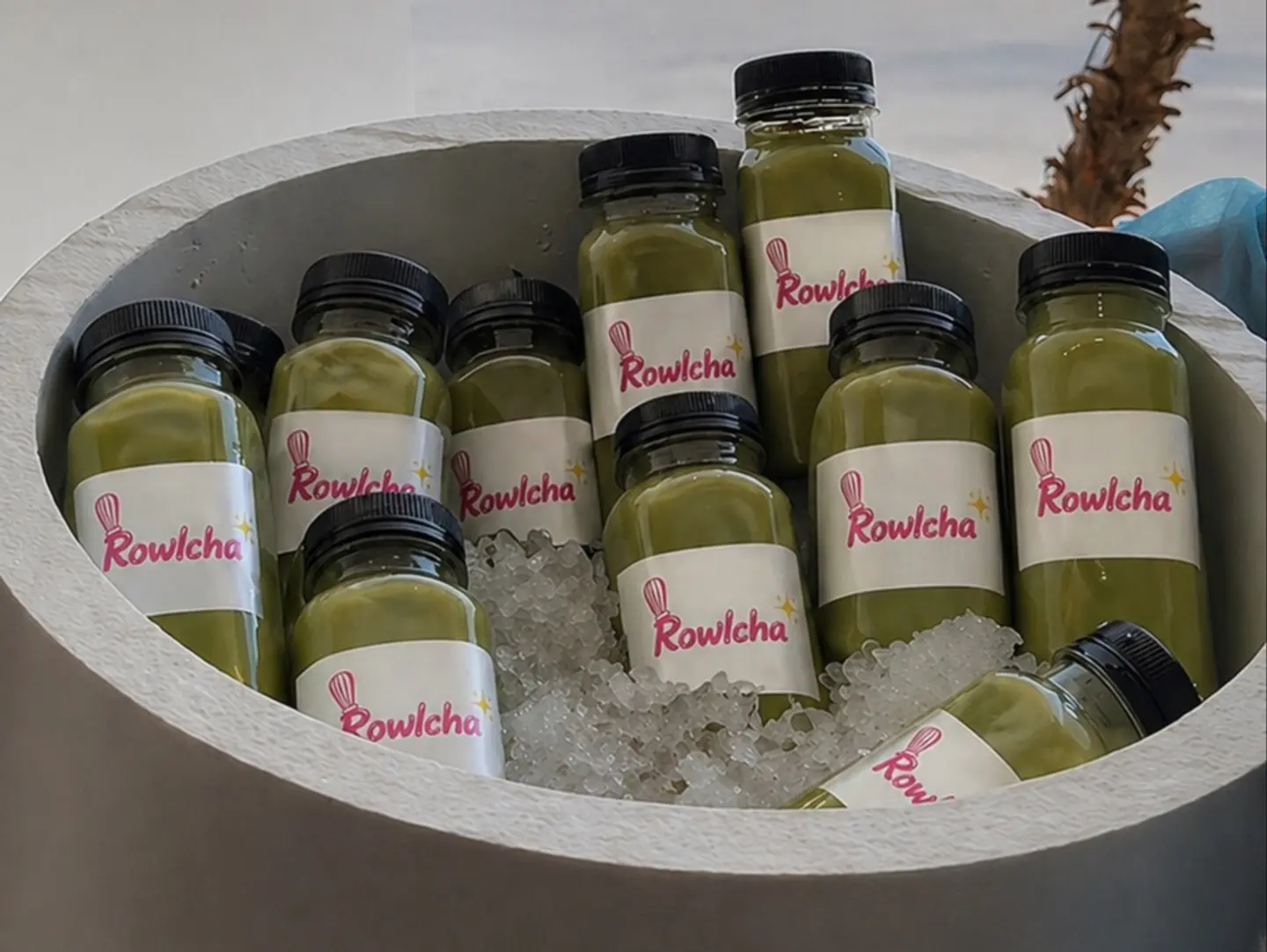 Matcha Box 12 Cans