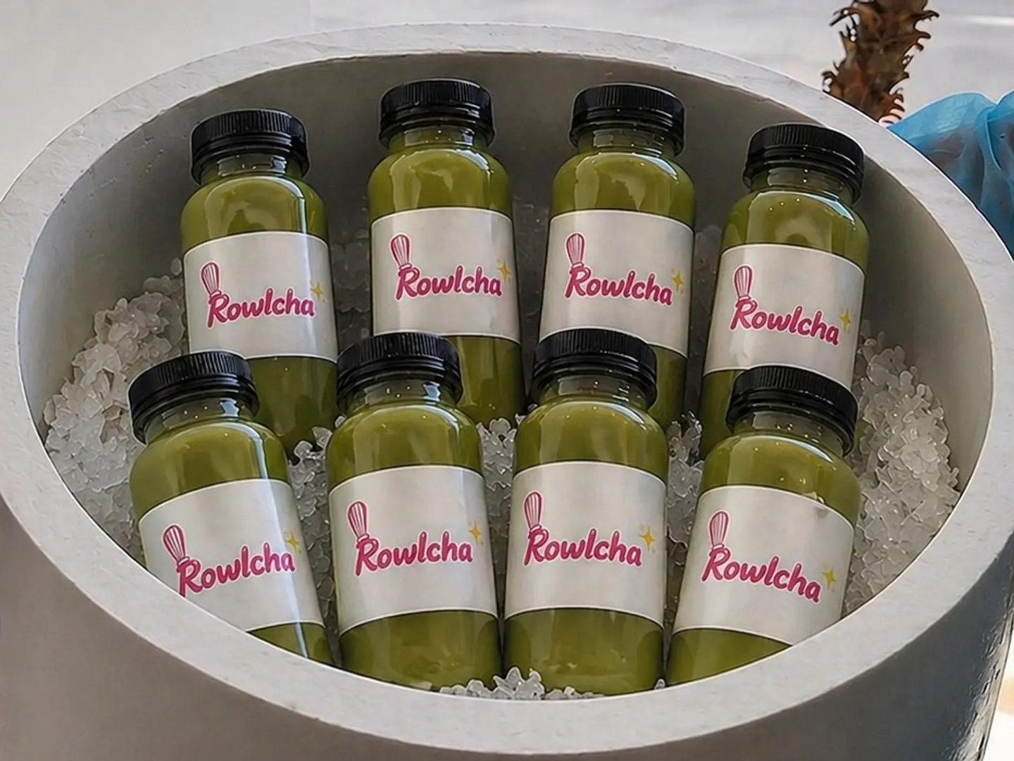 Matcha Box 8 Cans