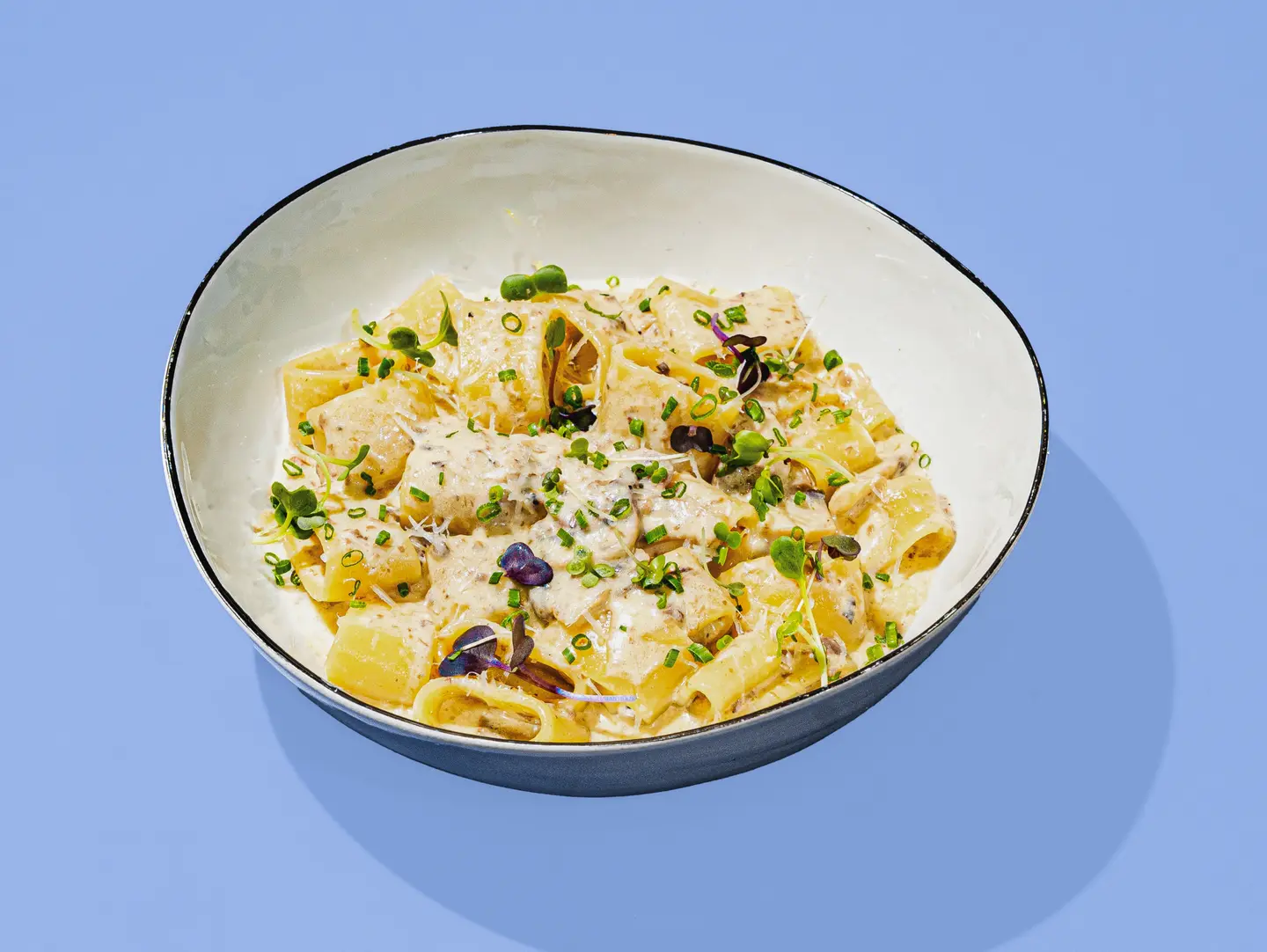 White Truffle Dream